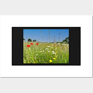 Poppy Field Posters and Art